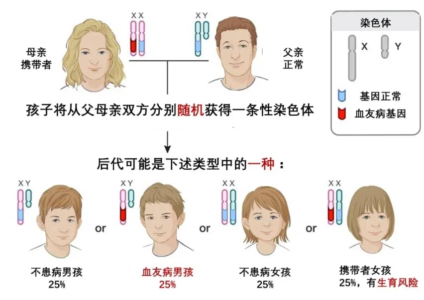 第二代试管婴儿手术是怎么一步步做的插图 第二代试管婴儿手术是怎么一步步做的插图
