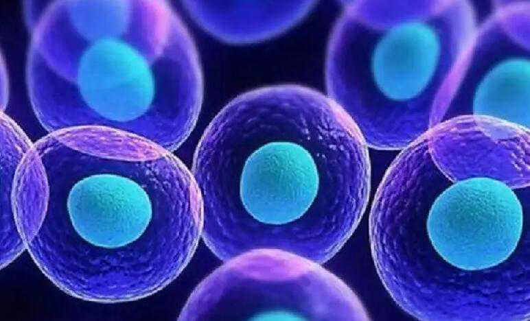 合肥三代供卵试管婴儿医院包生男孩排行公布？附详细流程？插图2