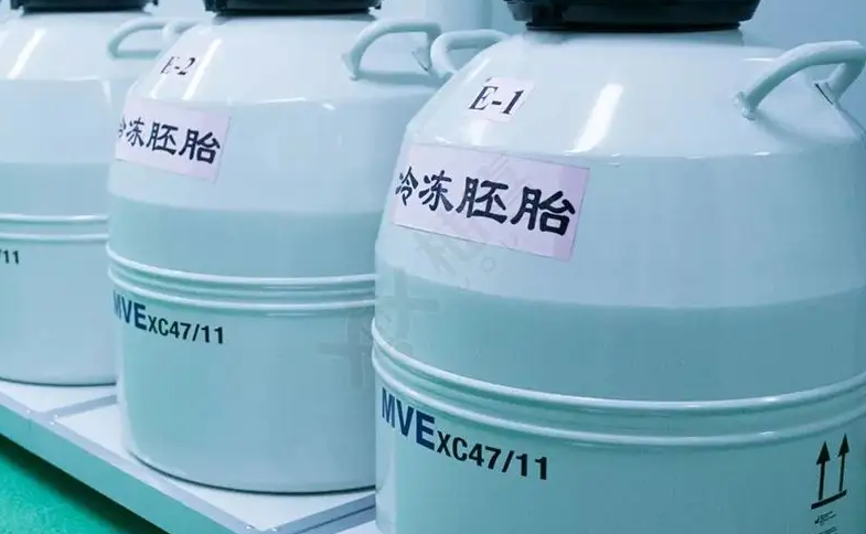 做试管婴儿选择冻卵还是冻胚 ，哪个成功率高一些？插图