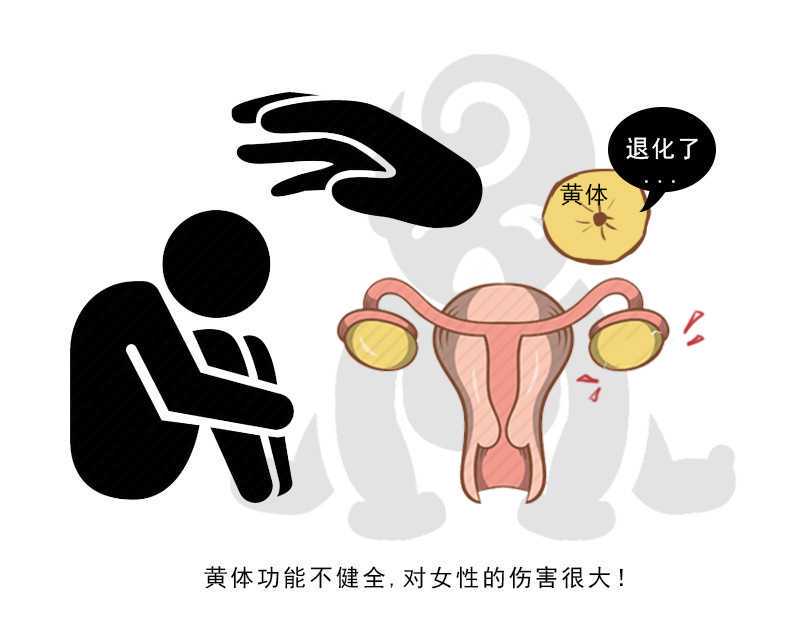 子宫腺肌症试管移植会影响胚胎着床吗？附子宫腺肌症的影响原因插图1