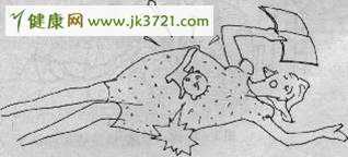胎教：胎儿有没有感情呢？插图
