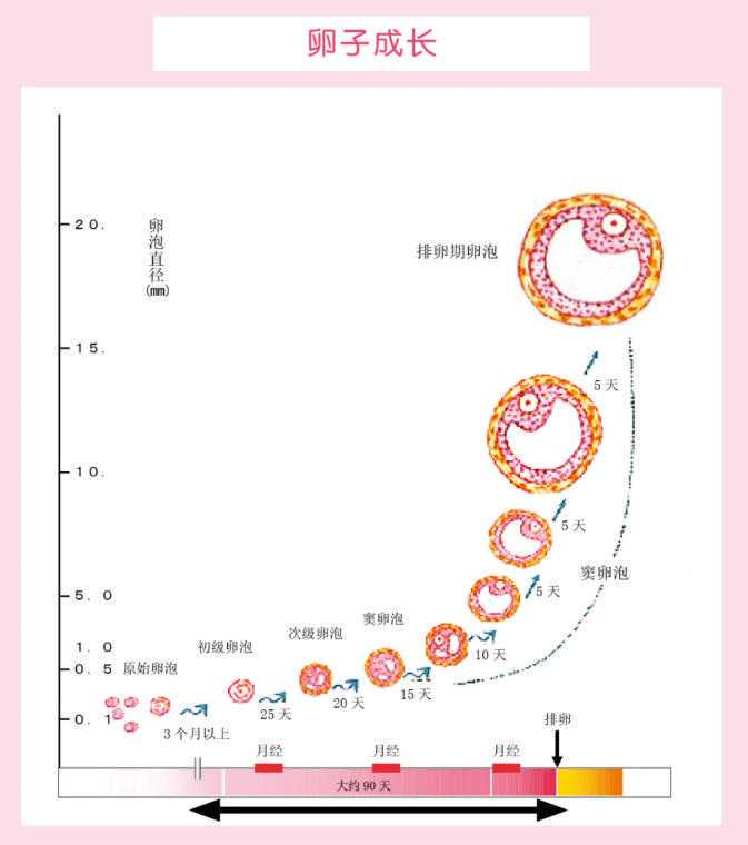 在安徽做试管婴儿要花多少钱？2025年价格会怎么变？插图