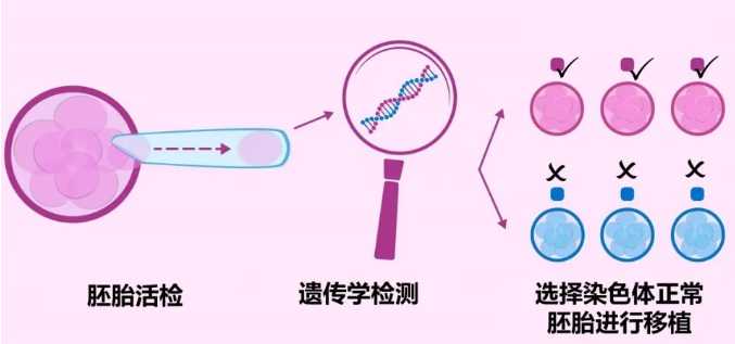 安徽做三代试管有补贴吗？我来告诉你实际情况插图