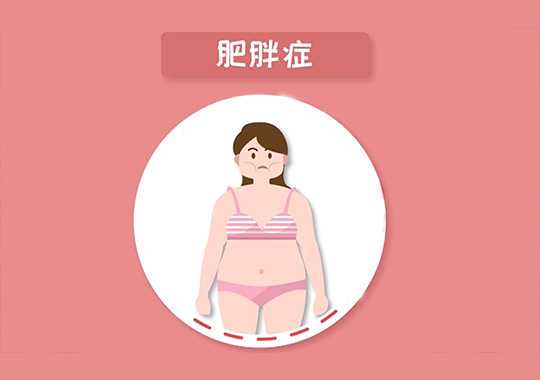 肥胖和不孕症插图 肥胖和不孕症插图