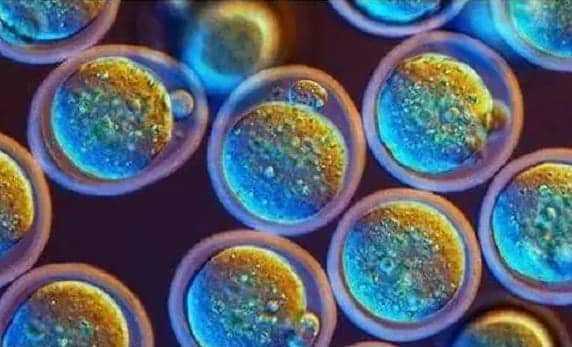 子宫内膜薄影响怀孕吗？试试这些调理方法插图