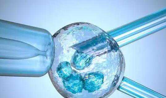 人工授精可以选择孩子性别吗？附详细选性别方法？插图
