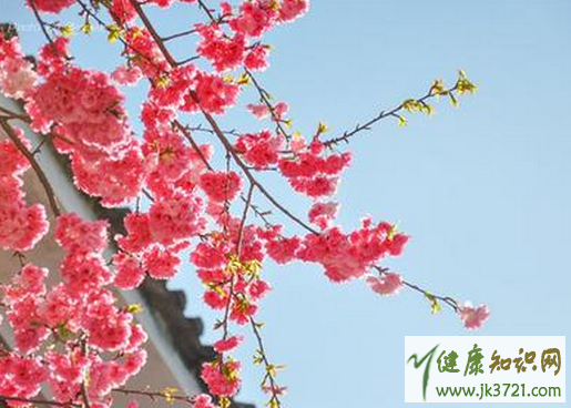 三月份适合穿什么衣服北方三月份适合穿什么插图