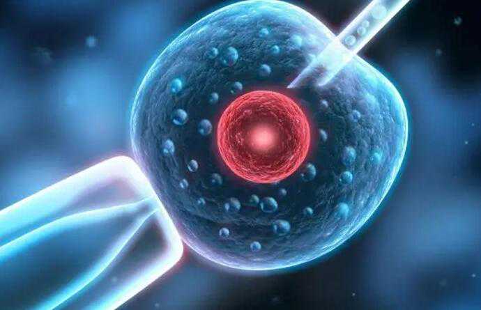 吉林试管包生男费用有多高？吉林试管包生男孩要多少钱？插图