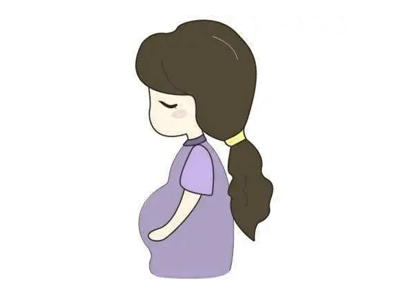 清宫表怎么去看男女?2024年清宫表的准确率有多少?插图1 undefined