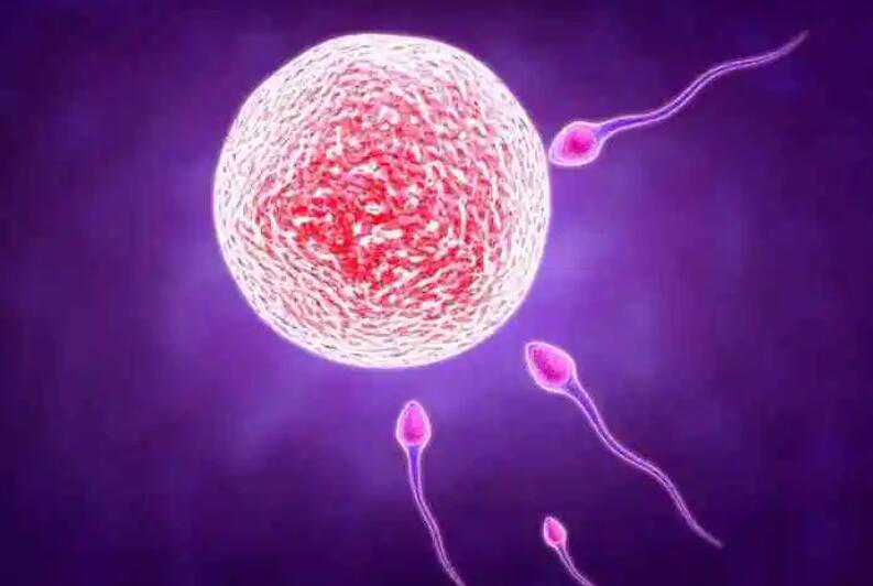 南昌妇幼保健院做三代试管生男孩多少钱？南昌妇幼试管费用排名？插图