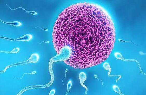 做试管婴儿怎样才能生男孩？附详细生男孩方法？插图2