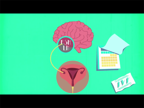 微刺激促排和自然周期哪个效果好，看二者区别就明了！插图