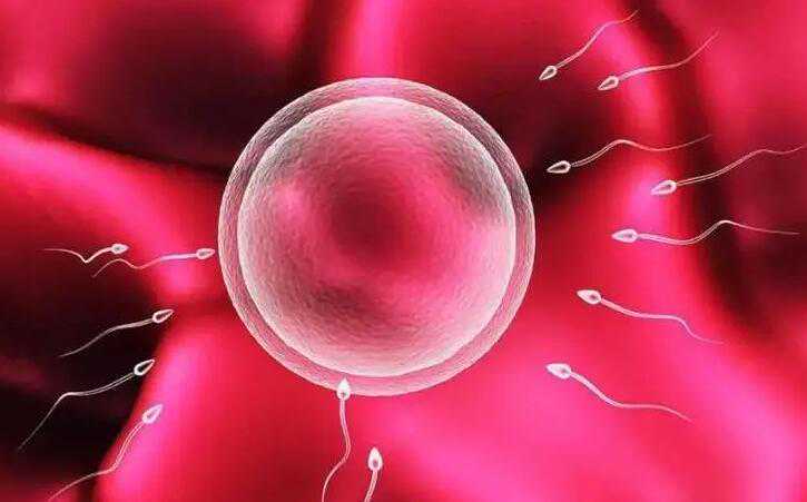 广州私立医院试管生男孩价格？附详细费用情况？插图2