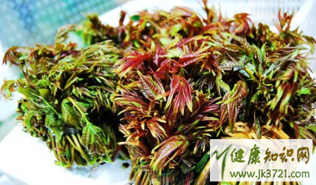 宝宝可以吃香椿芽吗一岁宝宝能吃香椿吗插图1