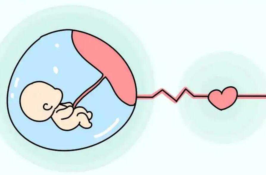 人工授精性别选择价格多少？附详细成功率费用？插图1