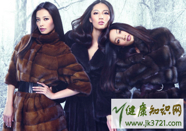 皮草会掉毛吗皮草掉毛怎么办插图2 皮草会掉毛吗皮草掉毛怎么办插图2