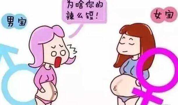 生男生女取决于什么？胎儿性别和什么有关？插图1