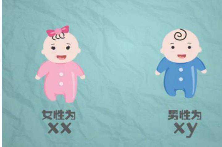 b超医生说胎儿头小是不是在暗示生男生女？四维彩超怎么看男女?插图