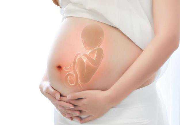 沈阳供卵三代试管婴儿医院排名？附试管医院助孕成功率！插图1