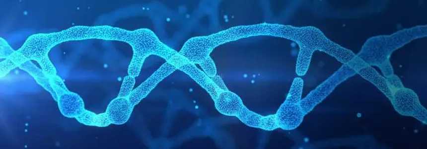 精子质量低差有哪些表现？冬天精子质量会变好吗