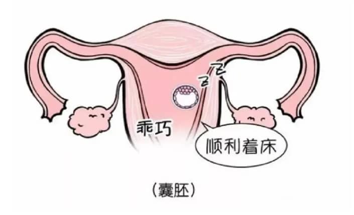 怎么看精子质量好不好？合格标准是什么？插图
