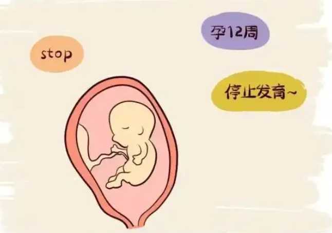 精子碎片率多少算正常插图