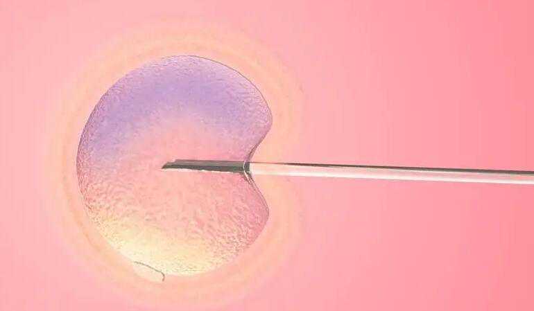 重庆妇幼保健院做试管包男孩多少钱？附费用明细情况？插图