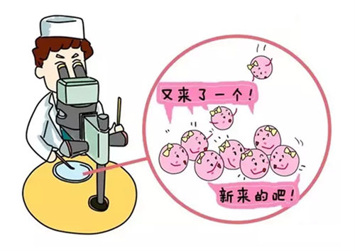 第二代试管婴儿的费用是多少?提高试管婴儿的成功率的方法有哪些?插图 第二代试管婴儿的费用是多少?提高试管婴儿的成功率的方法有哪些?插图
