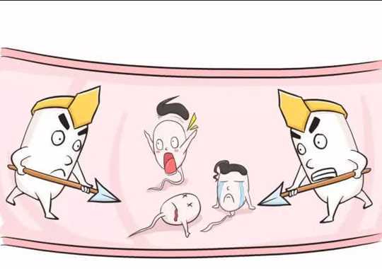 抗精子抗体的危害?插图 抗精子抗体的危害?插图