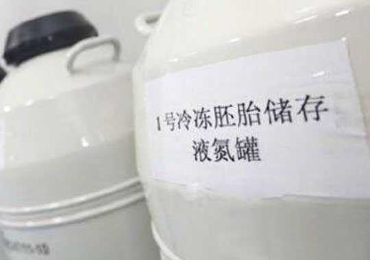 什么是玻璃化冷冻胚胎?插图 什么是玻璃化冷冻胚胎?插图