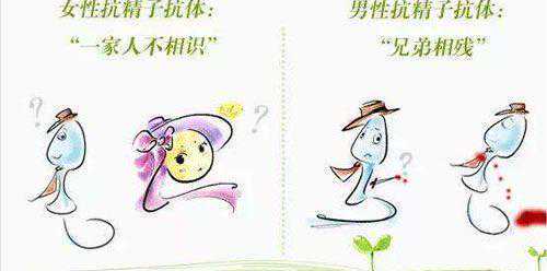 抗精子抗体是怎么回事？阳性正常吗？插图