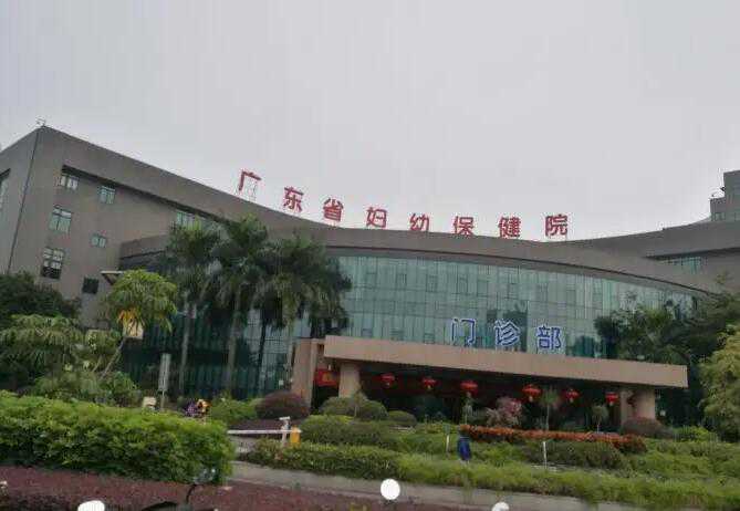 广州妇幼保健院供卵试管成功率高吗?附成功率数据?插图 1657979170035912.jpeg