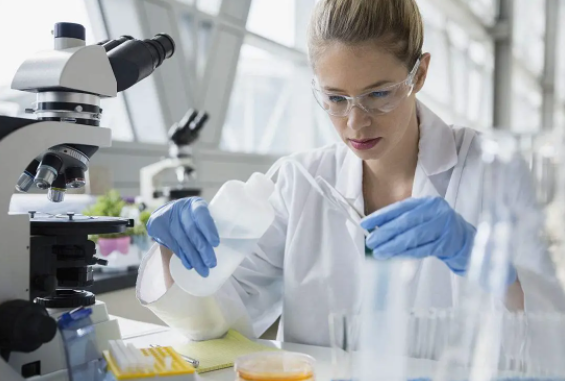 磁场可以影响生男生女吗?4种科学判断生男生女的方法分享插图1 undefined