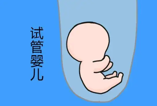 单身能去香港冻卵吗 香港做三代试管生男孩要花多少钱？插图