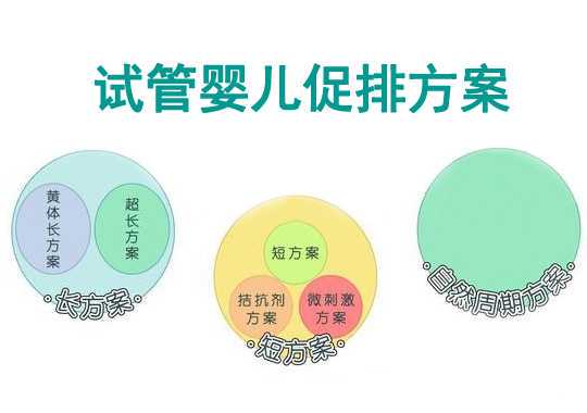 试管婴儿促排卵方案各自的特点和适用人群插图