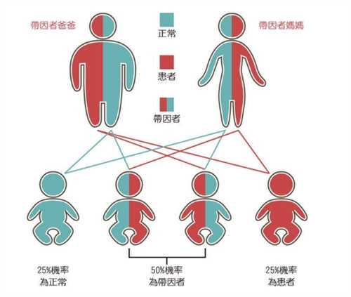 国内做试管婴儿哪家医院成功率高?附国内试管婴儿医院成功率排行榜插图 国内做试管婴儿哪家医院成功率高?附国内试管婴儿医院成功率排行榜插图