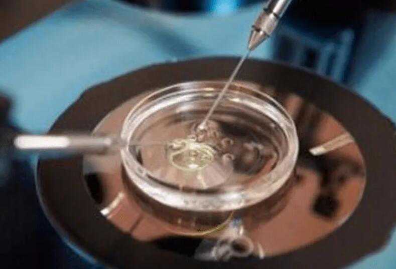 2024年苏州供精试管哪里能做？苏州供精试管一览插图1
