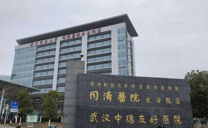 武汉十大试管医院排名哪家强?附试管医院成功率详情插图1 武汉十大试管医院排名哪家强?附试管医院成功率详情插图1