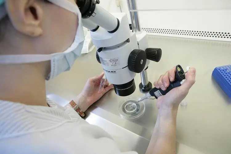 去美国做试管婴儿安全吗？美国试管婴儿要住多久？插图