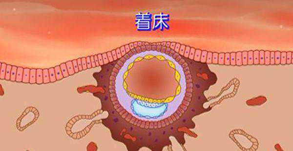 二代试管移植后10天出血正常么？插图