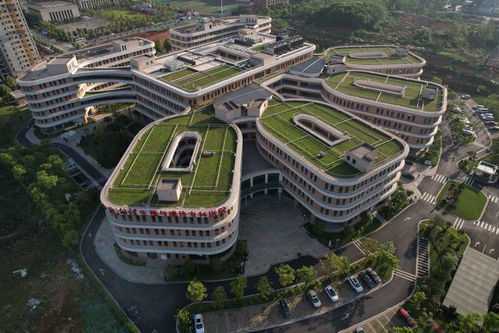 2024年长沙中信湘雅做试管能选男孩吗？长沙中信湘雅做试管选男孩怎么样？插图