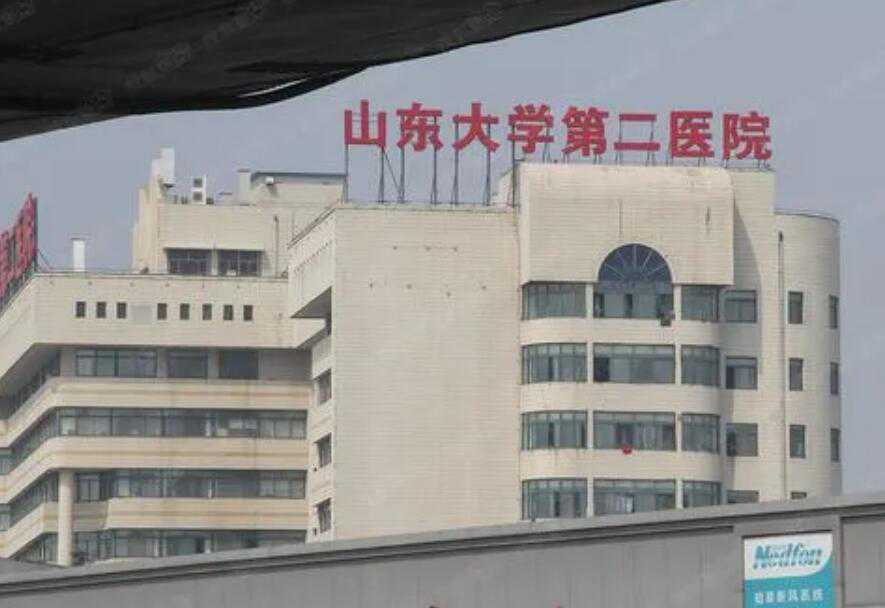 山大生殖试管婴儿一次成功几率多少?山大生殖试管成功率插图 山大生殖试管婴儿一次成功几率多少?山大生殖试管成功率插图