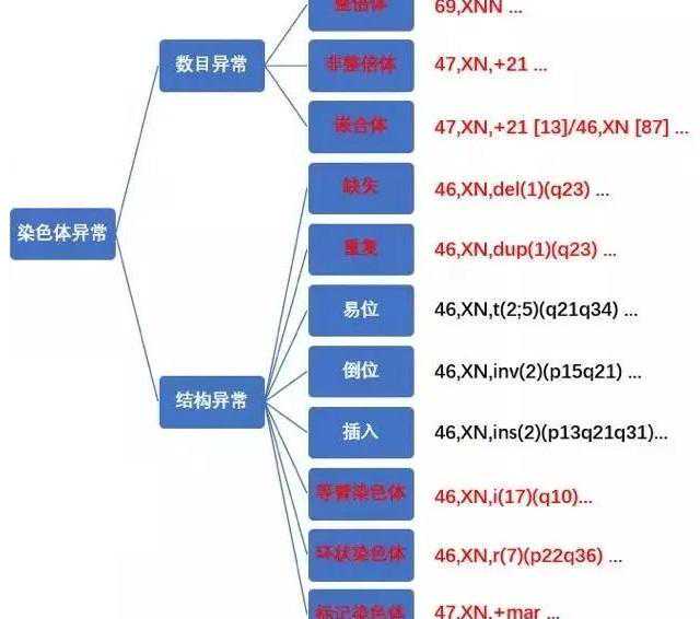 高龄试管婴儿姐妹的痛!为什么我总是胚胎种植失败?插图1 高龄试管婴儿姐妹的痛!为什么我总是胚胎种植失败?插图1