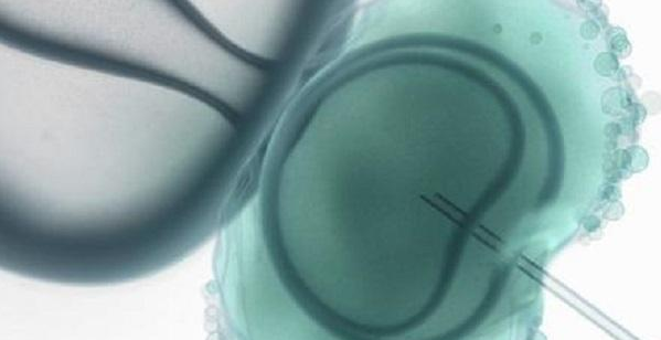还不知道做试管婴儿要不要结婚证？这些必备材料都看看插图