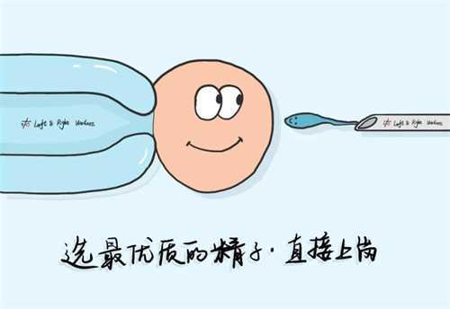试管胎停的原因有哪些?不孕不育能不能做试管?插图 试管胎停的原因有哪些?不孕不育能不能做试管?插图