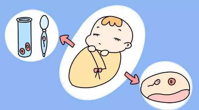 马来西亚试管医院排名,前三的医院是哪几家?插图 马来西亚试管医院排名,前三的医院是哪几家?插图