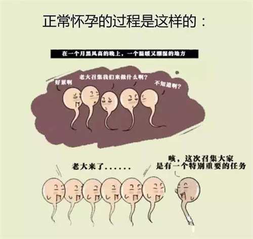 香港供(借)卵试管流程步骤有哪些 香港试管婴儿流程详细介绍插图2