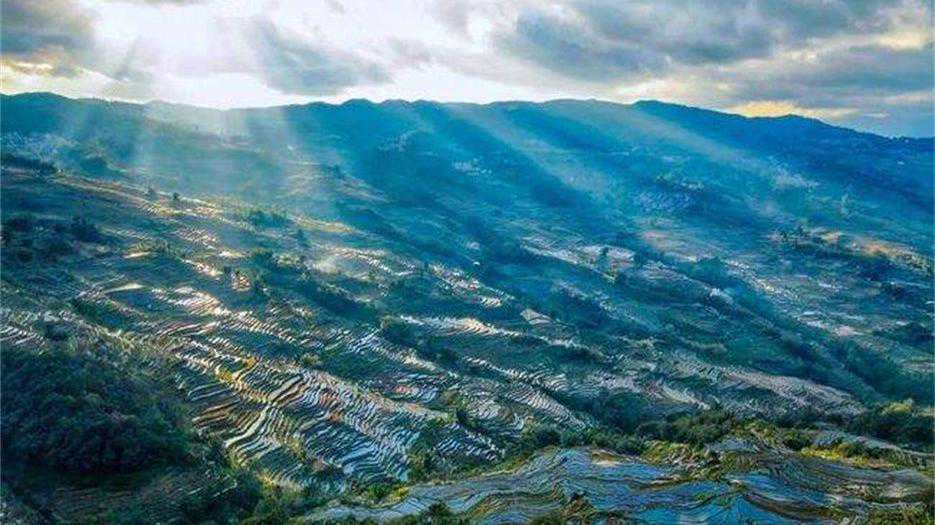 2024云南省私立生殖医院排名!附各大医院助孕费用及成功率参考插图 2024云南省私立生殖医院排名!附各大医院助孕费用及成功率参考插图