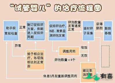 马来西亚试管婴儿的具体流程[超详细]插图