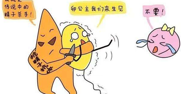免疫性不孕是什么？不孕、不着床、胎停都和它有关系插图1